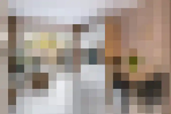 Van Utenhoveweg 32 Geldermalsen thumbnail 4