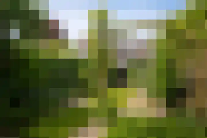 Van Utenhoveweg 70 Geldermalsen thumbnail 29
