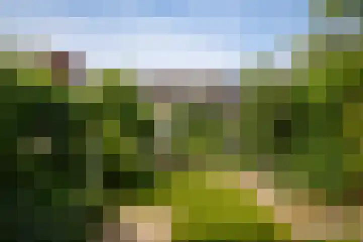 Van Utenhoveweg 70 Geldermalsen thumbnail 30