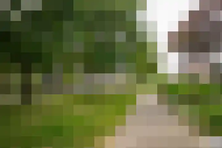 Van Utenhoveweg 70 Geldermalsen thumbnail 32