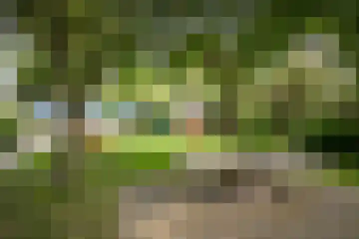 Van Utenhoveweg 70 Geldermalsen thumbnail 33