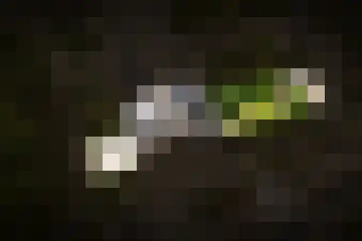 Van Utenhoveweg 70 Geldermalsen thumbnail 35