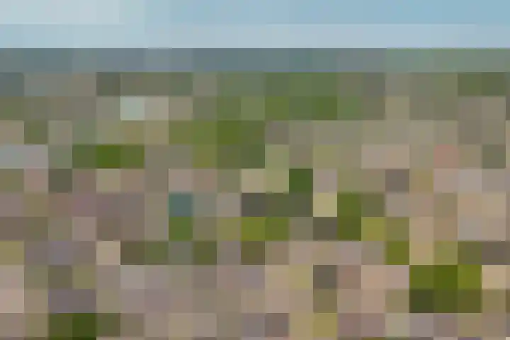 Van Utenhoveweg 70 Geldermalsen thumbnail 36