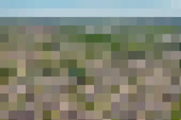 Van Utenhoveweg 70 Geldermalsen thumbnail 37