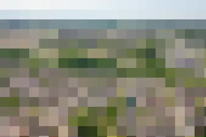 Van Utenhoveweg 70 Geldermalsen thumbnail 38