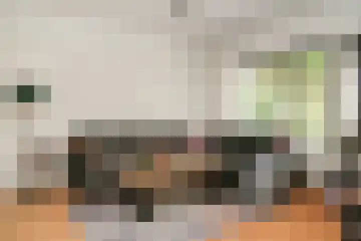 Van Utenhoveweg 70 Geldermalsen thumbnail 4