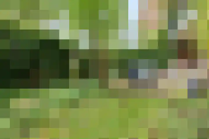 Van Uvenweg 130 Wageningen thumbnail 31