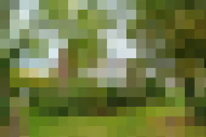 Van Uvenweg 130 Wageningen thumbnail 36