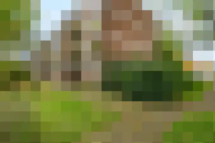 Van Uvenweg 130 Wageningen thumbnail 37