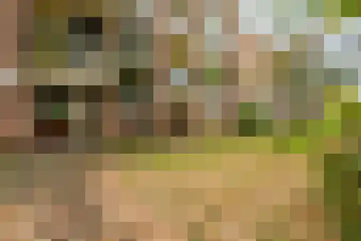 Van Uvenweg 130 Wageningen thumbnail 4