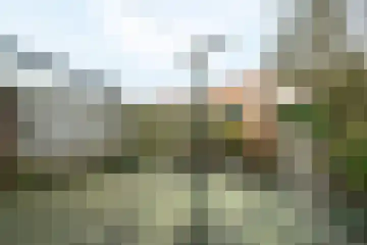 Van Uvenweg 131 Wageningen thumbnail 21
