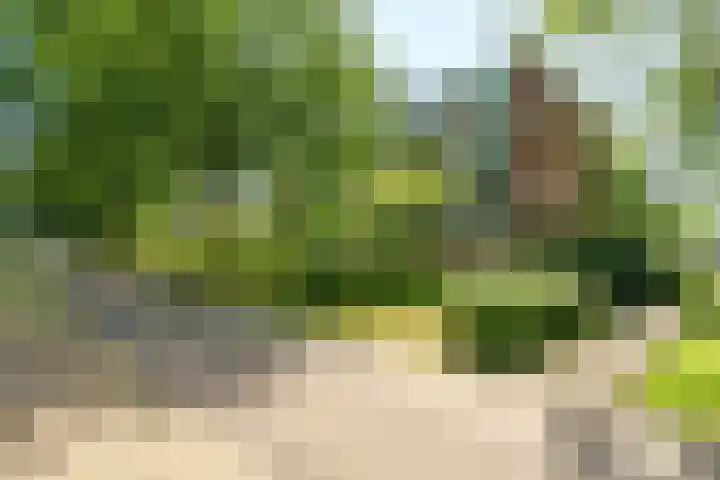 Van Uvenweg 134 Wageningen thumbnail 39