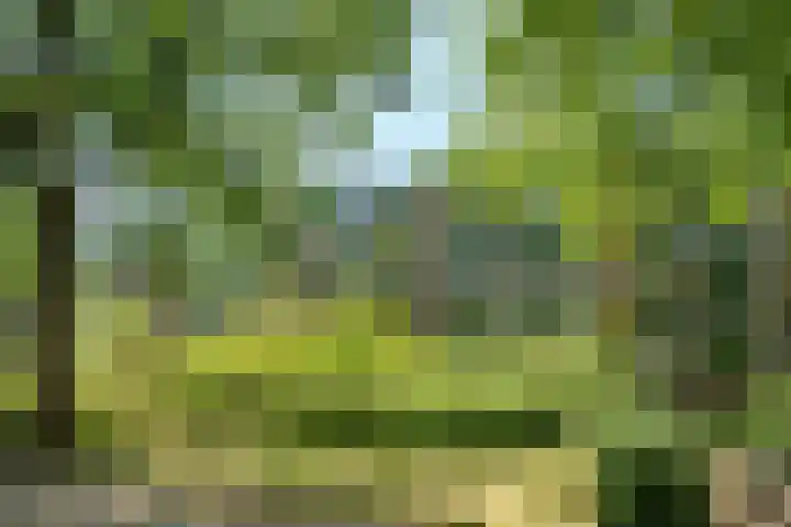 Van Uvenweg 134 Wageningen thumbnail 9