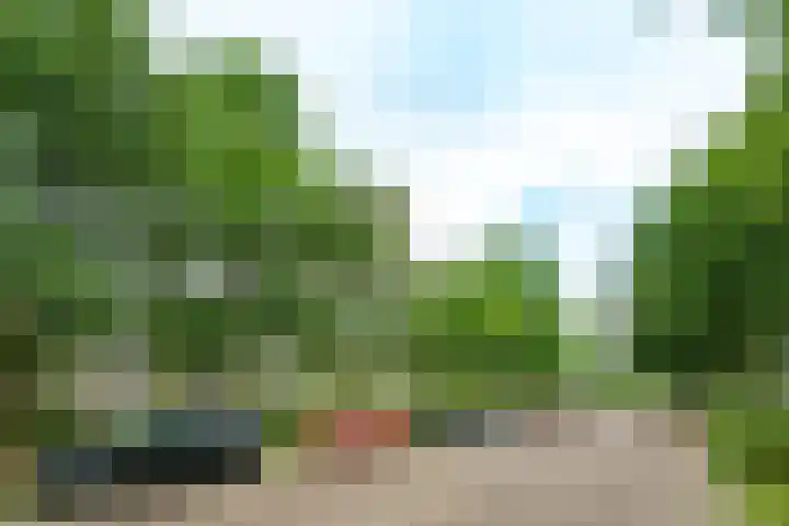 Van Uvenweg 144 I Wageningen thumbnail 18