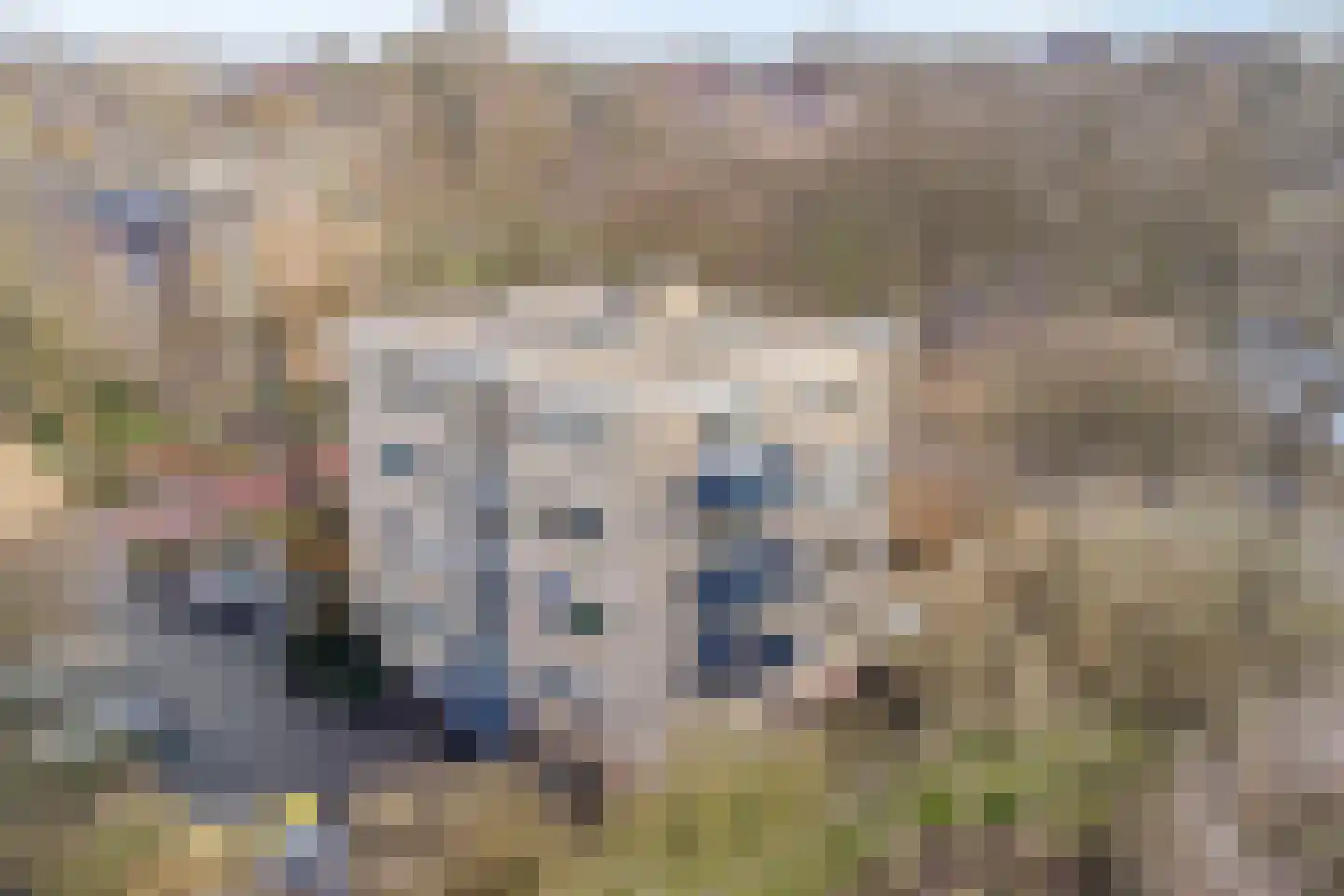 Van Uvenweg 7 II Wageningen thumbnail 5