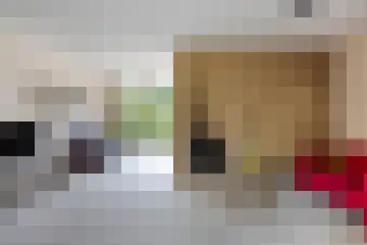 Van Uytrechtlaan 12 Castricum thumbnail 11