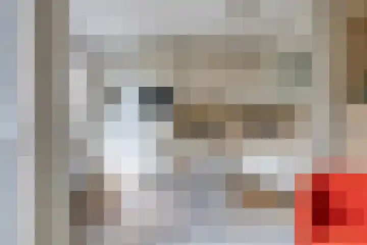 Van Uytrechtlaan 12 Castricum thumbnail 12