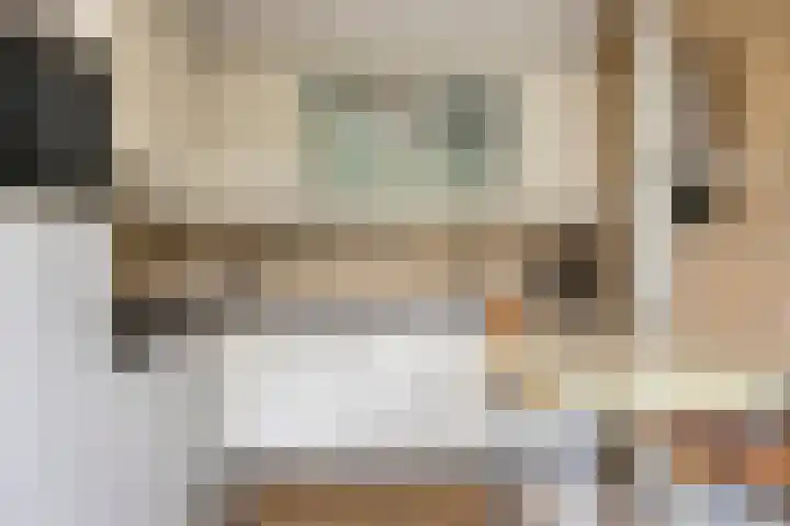 Van Uytrechtlaan 12 Castricum thumbnail 13