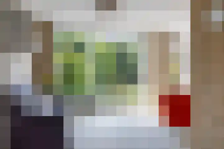Van Uytrechtlaan 12 Castricum thumbnail 15