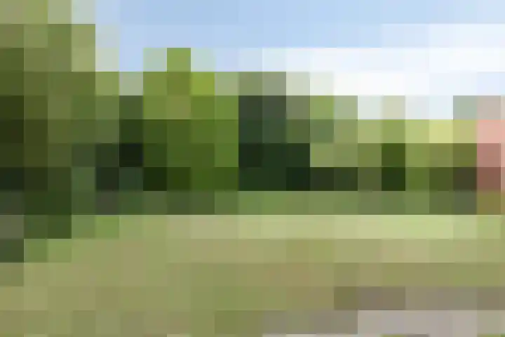 Van Uytrechtlaan 12 Castricum thumbnail 16
