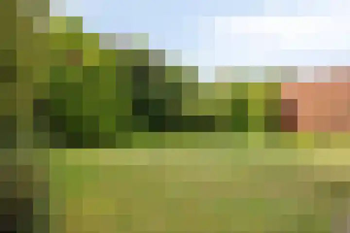 Van Uytrechtlaan 12 Castricum thumbnail 17