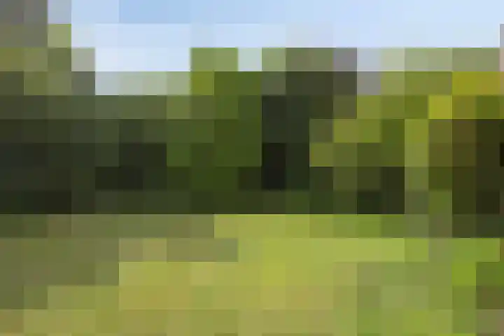 Van Uytrechtlaan 12 Castricum thumbnail 18