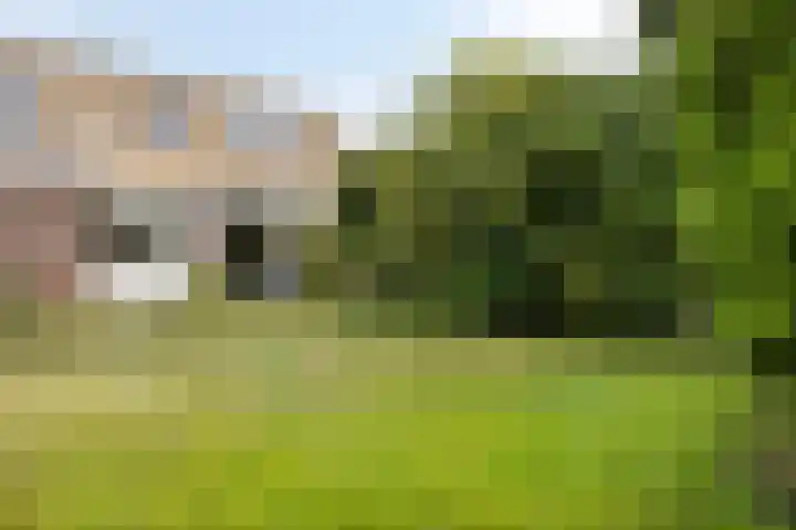 Van Uytrechtlaan 12 Castricum thumbnail 19