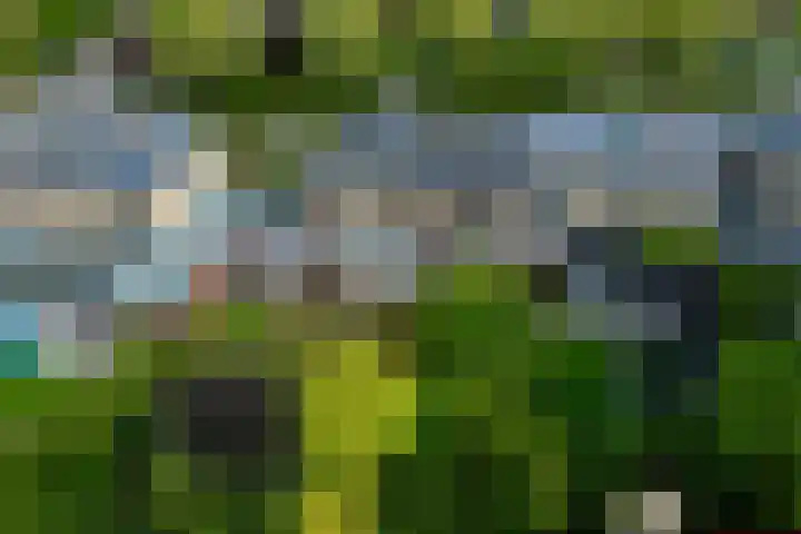 Van Uytrechtlaan 12 Castricum thumbnail 21