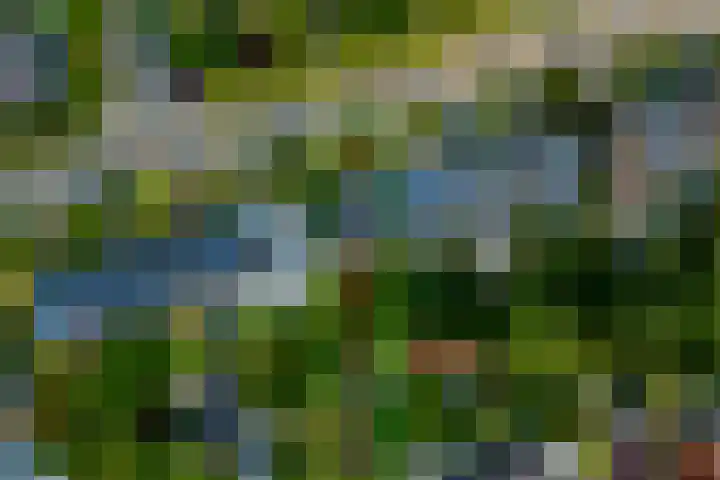 Van Uytrechtlaan 12 Castricum thumbnail 22