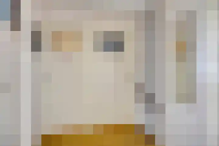 Van Uytrechtlaan 12 Castricum thumbnail 24