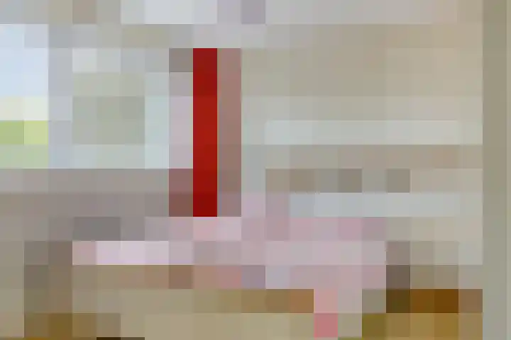Van Uytrechtlaan 12 Castricum thumbnail 25