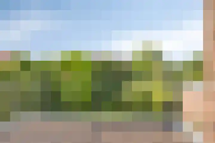 Van Uytrechtlaan 12 Castricum thumbnail 28