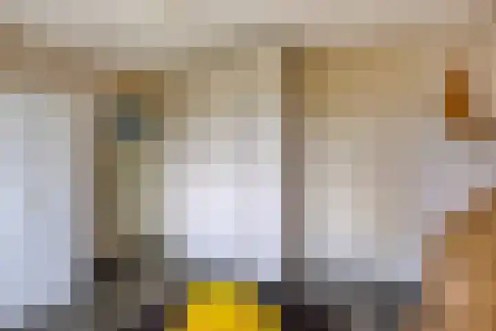Van Uytrechtlaan 12 Castricum thumbnail 31