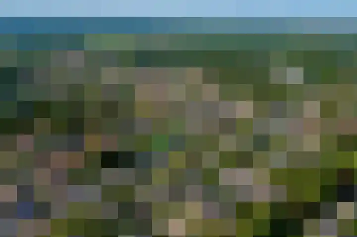 Van Uytrechtlaan 12 Castricum thumbnail 37