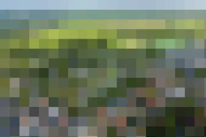 Van Uytrechtlaan 12 Castricum thumbnail 38