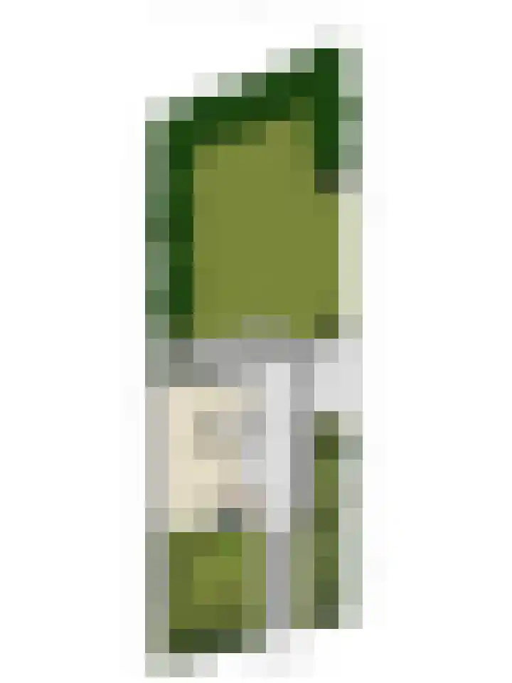 Van Uytrechtlaan 12 Castricum thumbnail 39