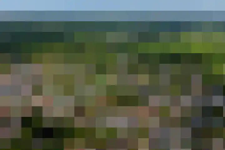 Van Uytrechtlaan 12 Castricum thumbnail 4