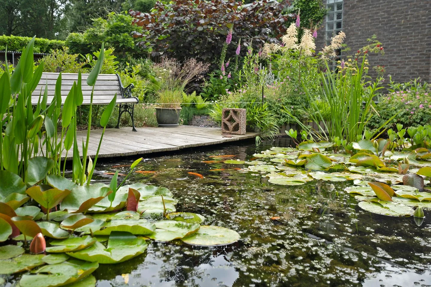 Van Veen's park 38 Smilde thumbnail 42