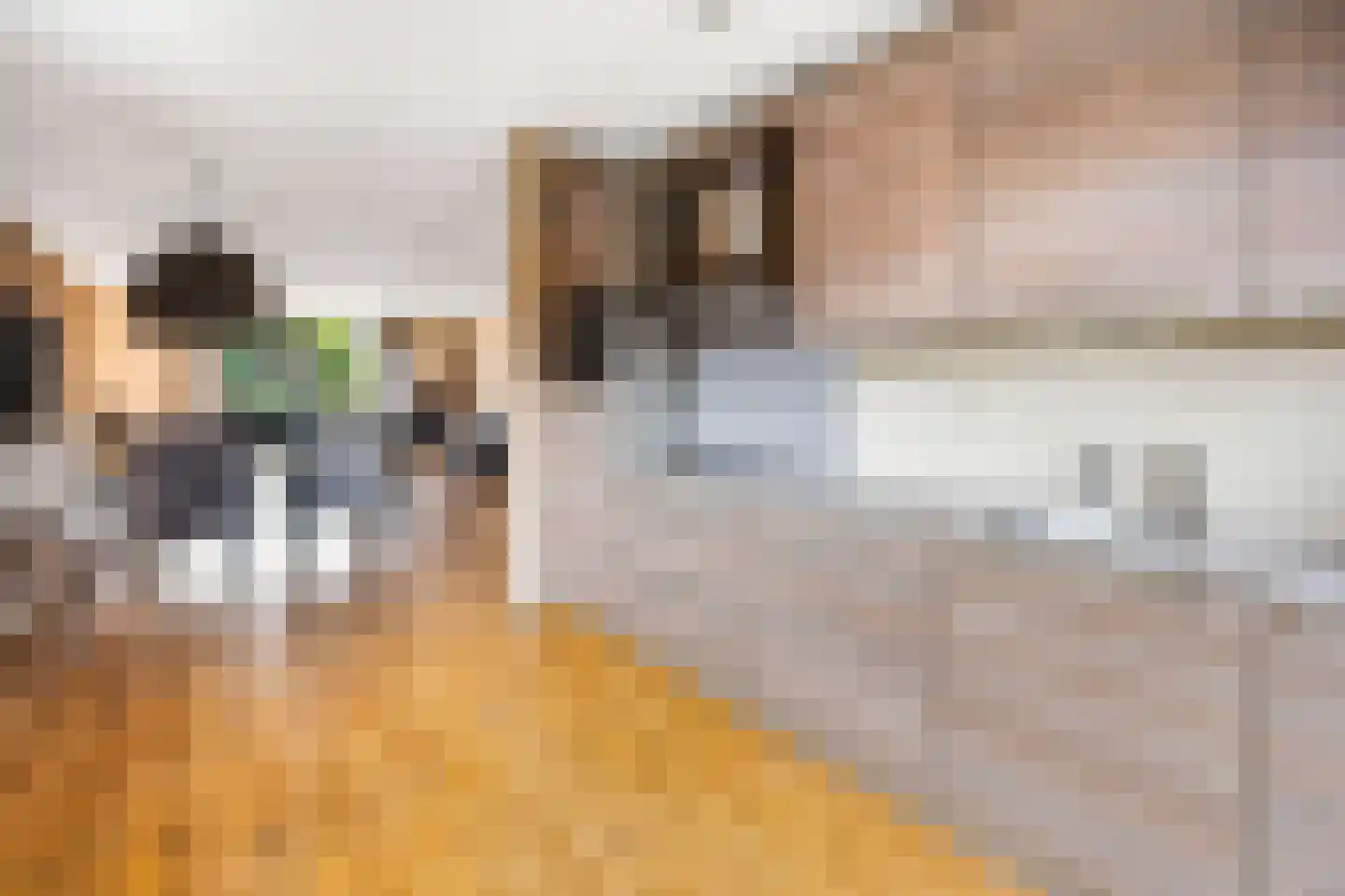 Van Veendijk 26 Den Haag thumbnail 11