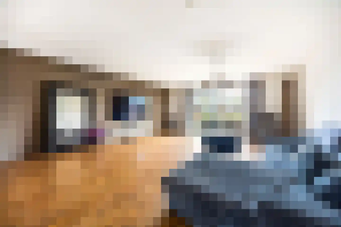 Van Veendijk 26 Den Haag thumbnail 13