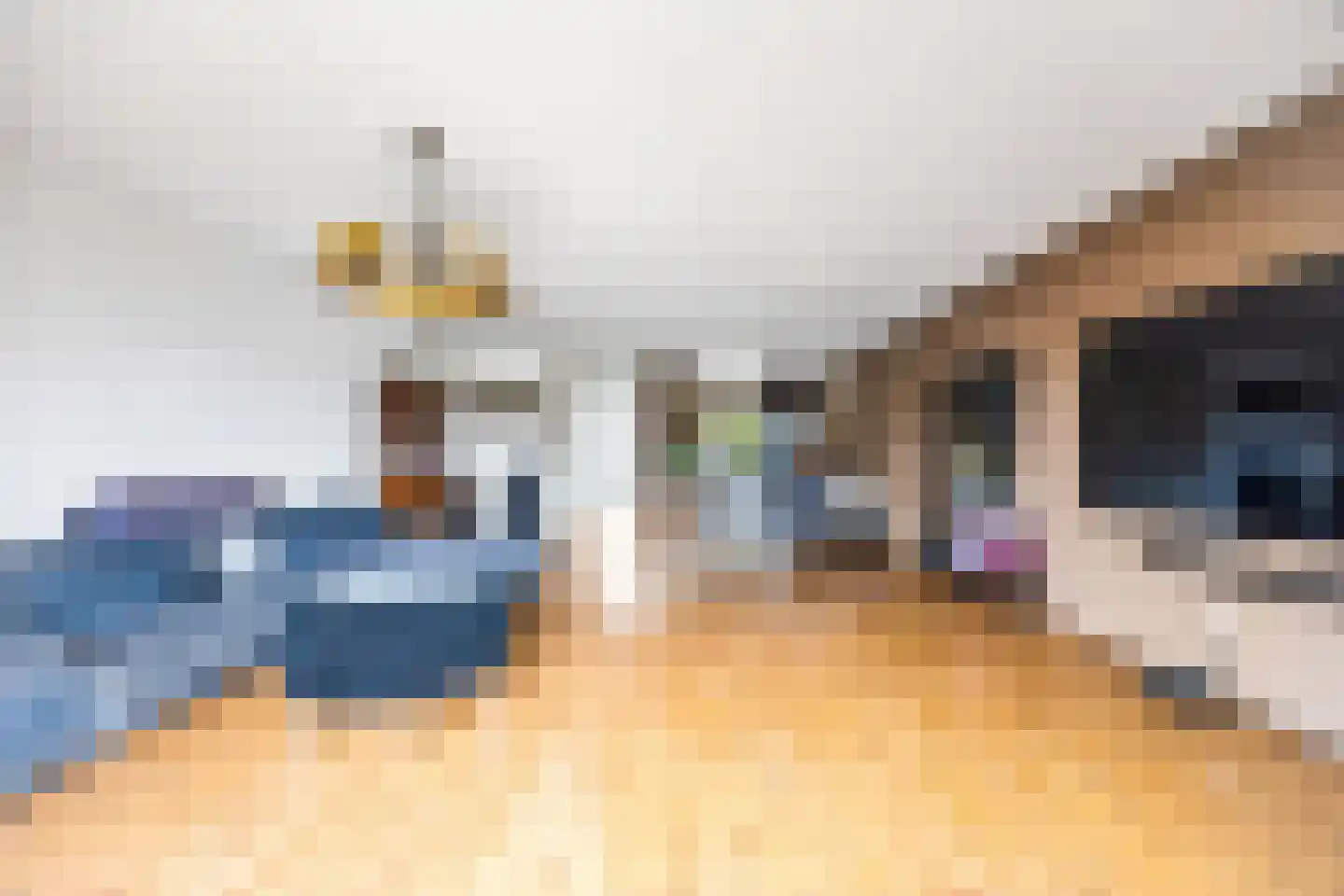 Van Veendijk 26 Den Haag thumbnail 15
