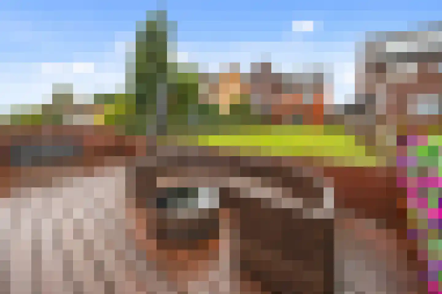 Van Veendijk 26 Den Haag thumbnail 22