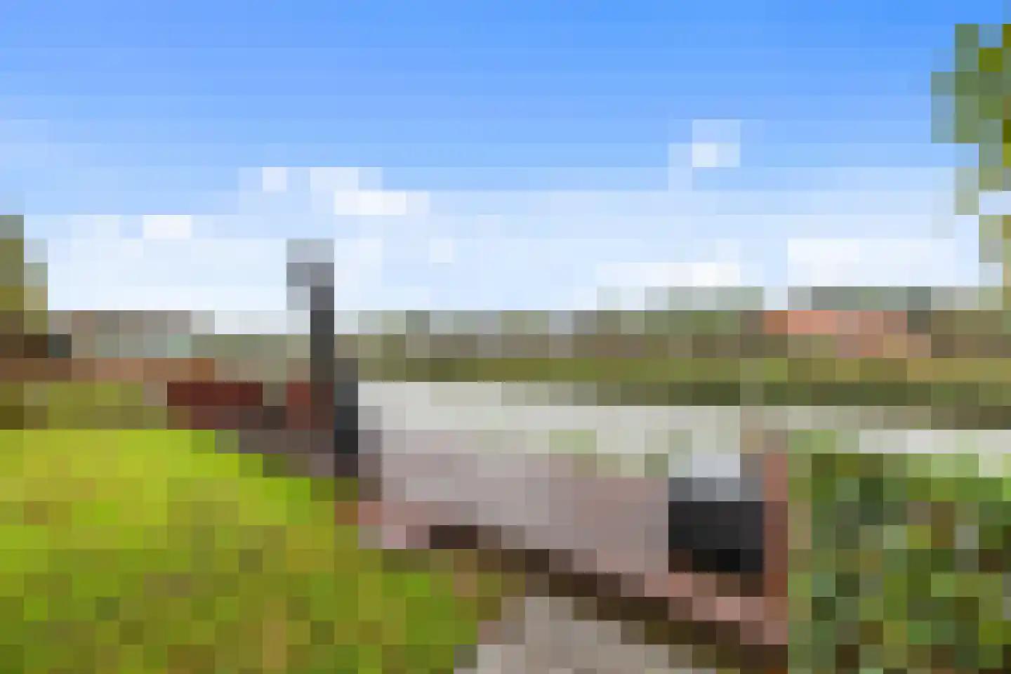 Van Veendijk 26 Den Haag thumbnail 23