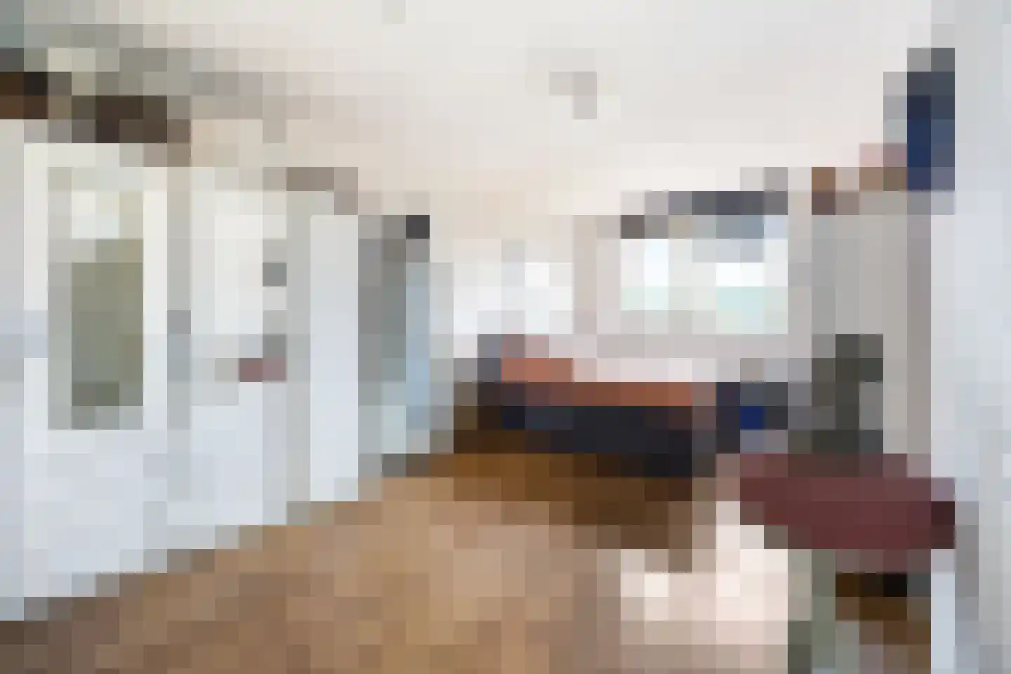 Van Veendijk 26 Den Haag thumbnail 28
