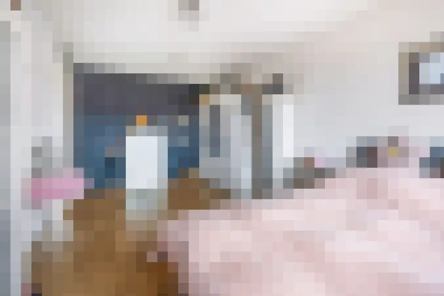 Van Veendijk 26 Den Haag thumbnail 29