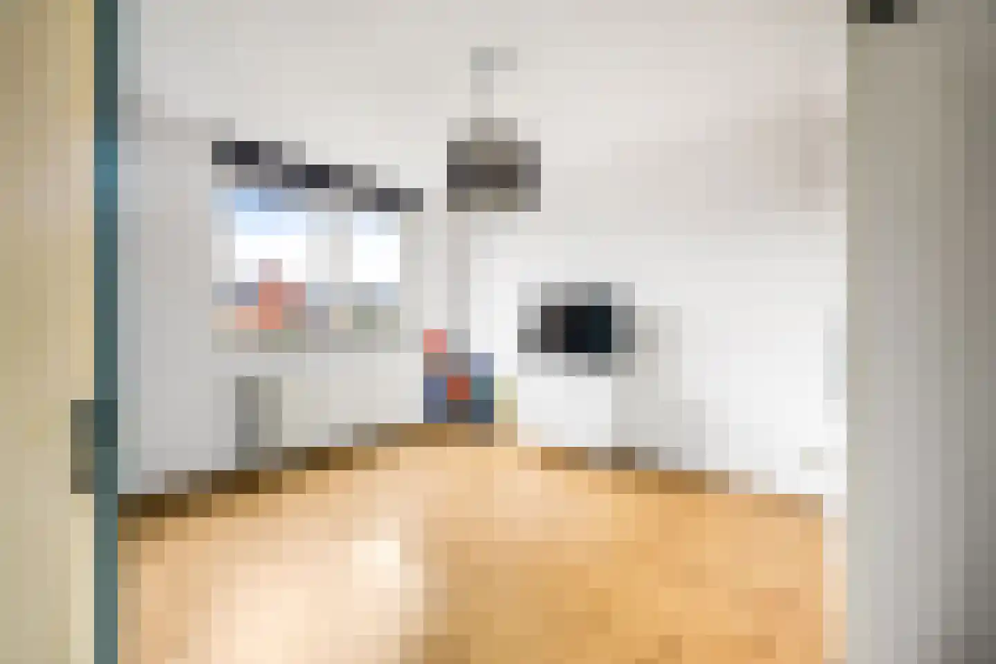 Van Veendijk 26 Den Haag thumbnail 32