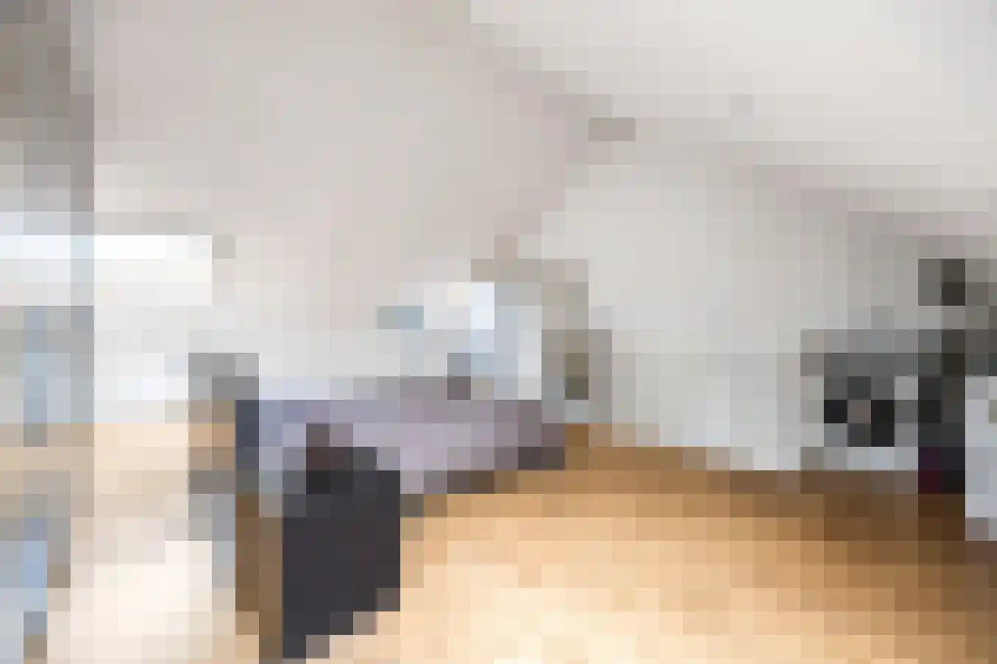 Van Veendijk 26 Den Haag thumbnail 36