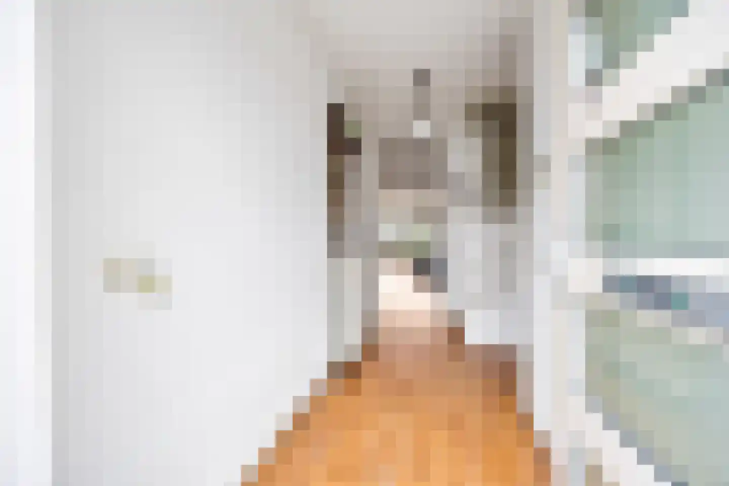 Van Veendijk 26 Den Haag thumbnail 8