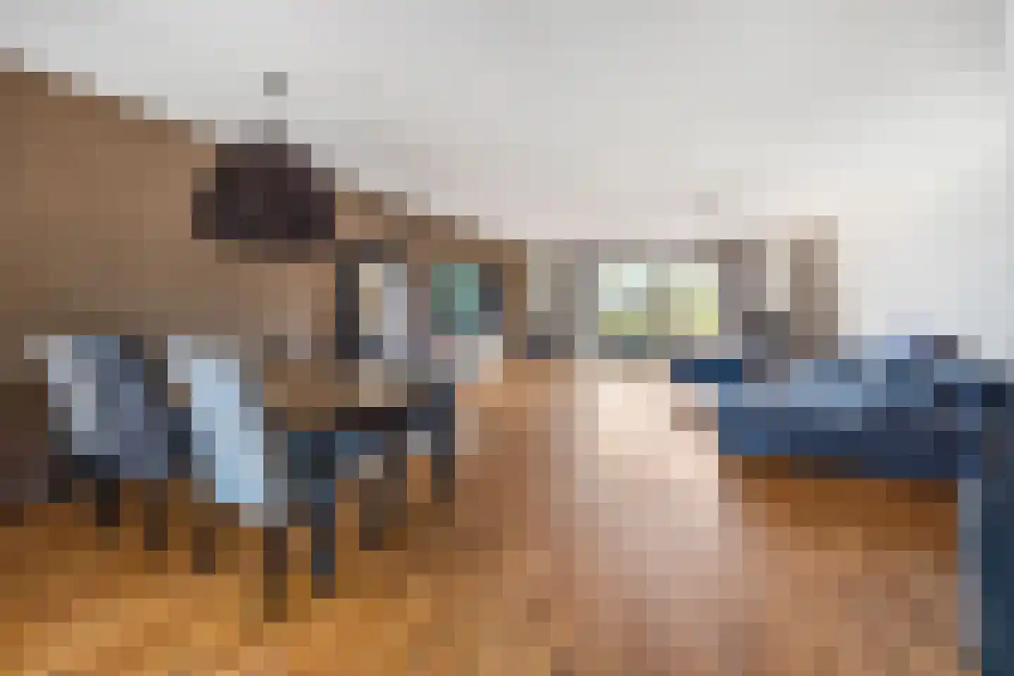 Van Veendijk 26 Den Haag thumbnail 9