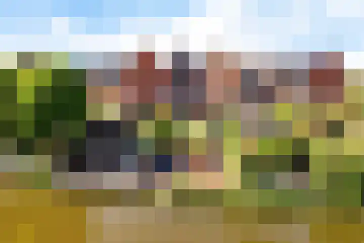 Van Veendijk 48 in Den Haag